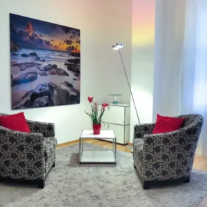 Stylish Printed Sofa Chairs