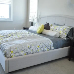 Modern Gray Colored Double Bed